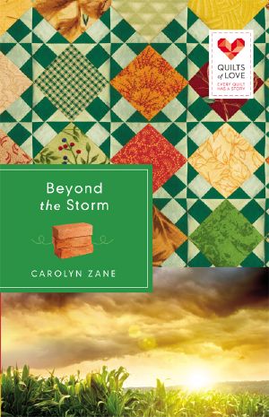 [Quilts of Love 01] • Beyond the Storm · Quilts of Love Series